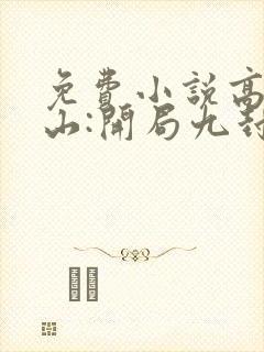 免费小说高手下山:开局九封婚书