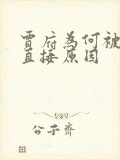 贾府为何被抄家直接原因