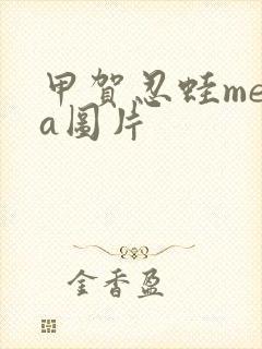 甲贺忍蛙mega图片