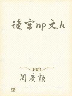 后宫np文h