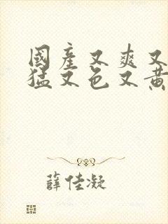 国产又爽又粗又猛又色又黄的视频