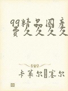 99精品国产免费久久久久久