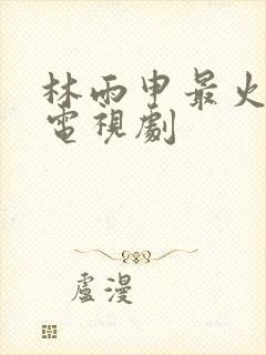 林雨申最火十部电视剧