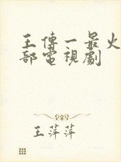 王传一最火的5部电视剧