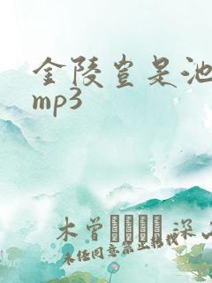 金陵岂是池中物mp3