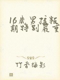 16岁男孩叛逆期特别严重怎么办还打父母