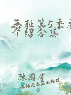 无耻第5季剧情介绍分集