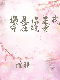 遇见你是我的宿命在线看