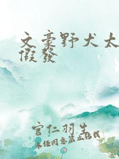 文豪野犬太宰治假发