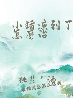 小猪凉到了拉稀怎么治