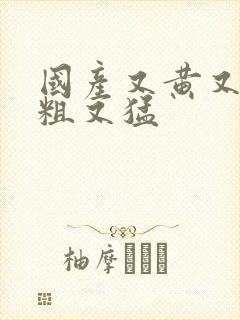 国产又黄又爽又粗又猛