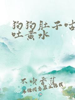 狗狗肚子咕噜响吐黄水