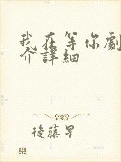 我在等你剧情简介详细