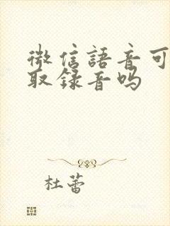 微信语音可以调取录音吗