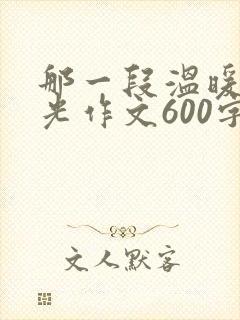那一段温暖的时光作文600字