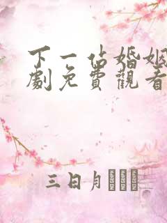 下一站婚姻电视剧免费观看完整版星辰