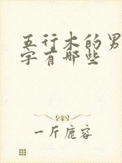 五行木的男孩名字有哪些