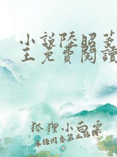 小说陆昭菱与晋王免费阅读