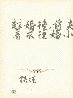 离婚后,前夫哭着求复婚小说正版