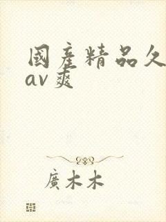 国产精品久久久av爽