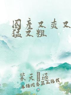 国产又爽又黄又猛又粗