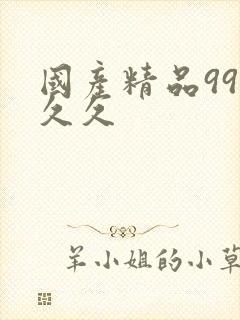 国产精品99久久久