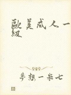 欧美成人一级a级