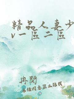 精品人妻少妇av一区二区