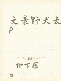 文豪野犬太芥cp