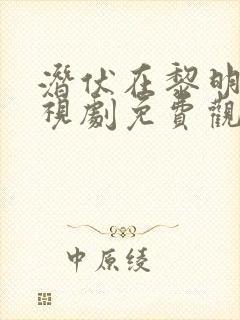 潜伏在黎明前电视剧免费观看