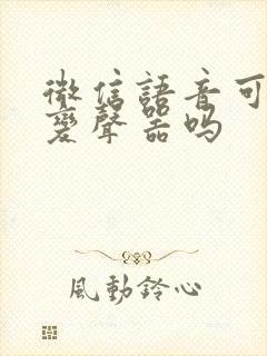 微信语音可以开变声器吗