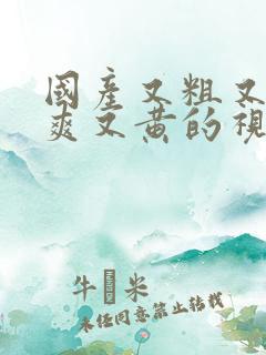 国产又粗又猛又爽又黄的视频.