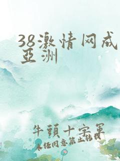 38激情网成人亚洲