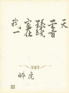 我家孙子天下第一在线看