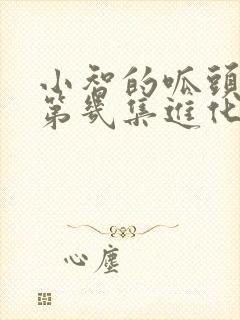 小智的呱头蛙在第几集进化成甲贺忍蛙