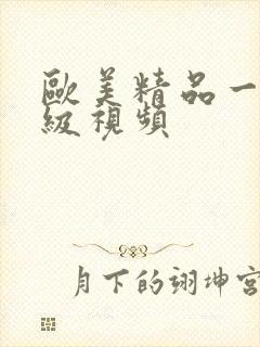 欧美精品一级二级视频