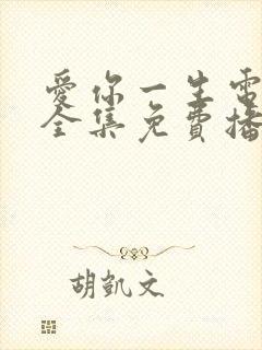 爱你一生电视剧全集免费播放