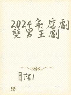 2024年腐剧双男主剧