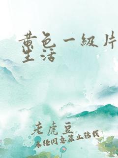 黄色一级片夫妻生活