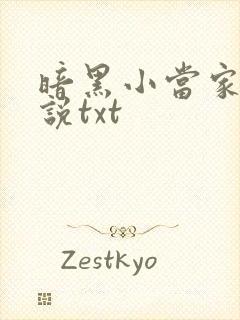 暗黑小当家的小说txt