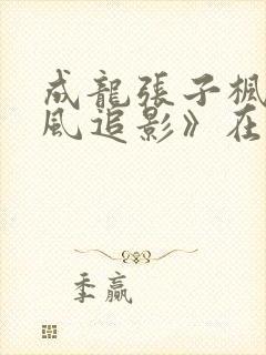 成龙张子枫《捕风追影》在线观看hd