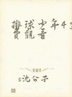 排球少年4季免费观看