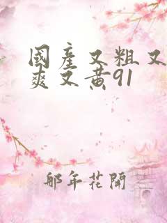 国产又粗又猛又爽又黄91