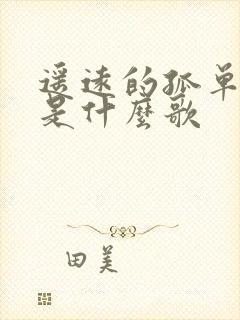 遥远的孤单歌词是什么歌