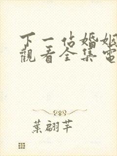 下一站婚姻免费观看全集电视剧