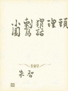 小刺猬理头发看图写话