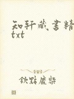 知轩藏书精校版txt