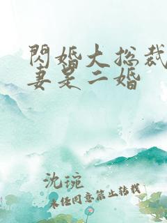 闪婚大总裁:娇妻是二婚