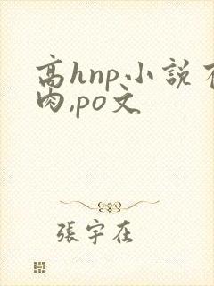 高hnp小说有肉,po文