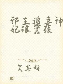 邪王追妻神医狂妃很嚣张